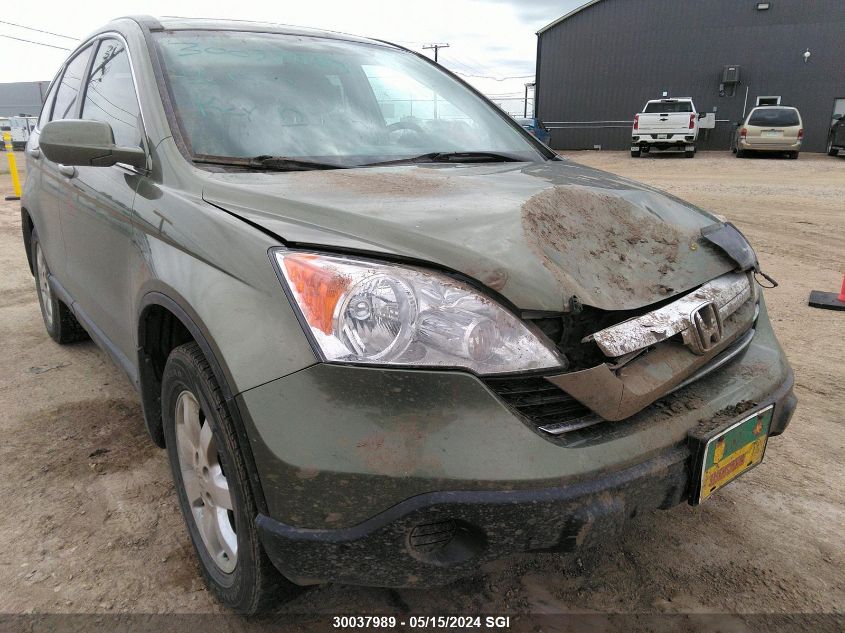2008 Honda Cr-V Exl VIN: 5J6RE48788L817691 Lot: 30037989