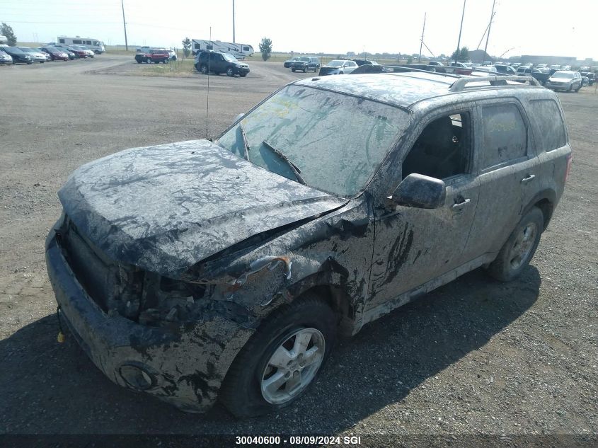 2009 Ford Escape Xlt VIN: 1FMCU03799KD09926 Lot: 30040600