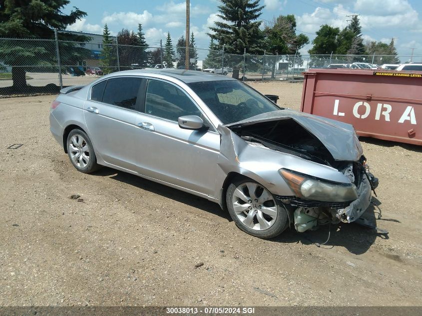 2008 Honda Accord Exl VIN: 1HGCP36878A800387 Lot: 30038013