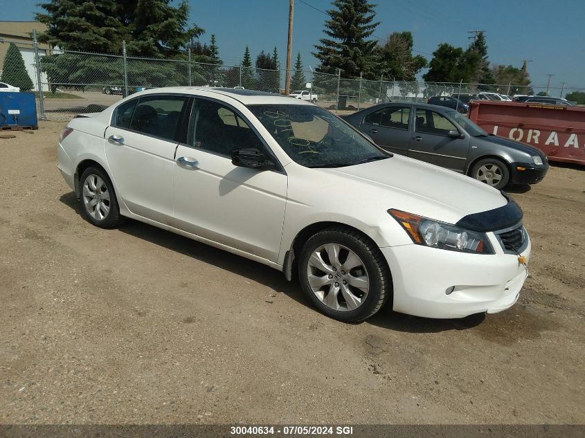 2008 Honda Accord Exl VIN: 1HGCP36868A801904 Lot: 30040634