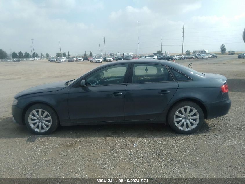 2010 Audi A4 Premium VIN: WAUBFCFL7AN030205 Lot: 30041341