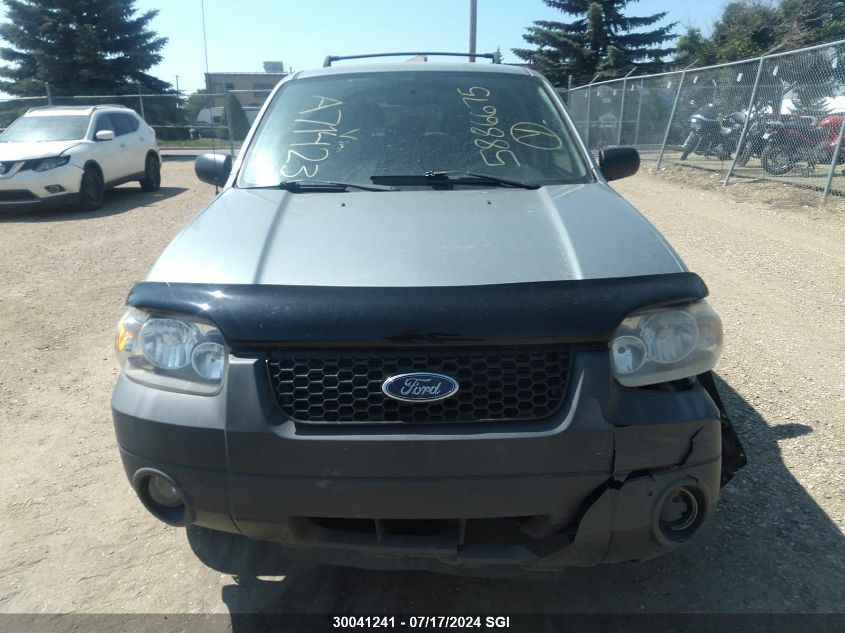 2005 Ford Escape Xlt VIN: 1FMYU03135KA71423 Lot: 30041241