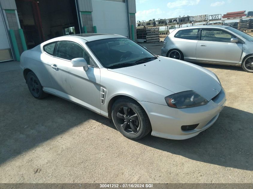 2006 Hyundai Tiburon Se VIN: KMHHN65D86U214234 Lot: 30041252