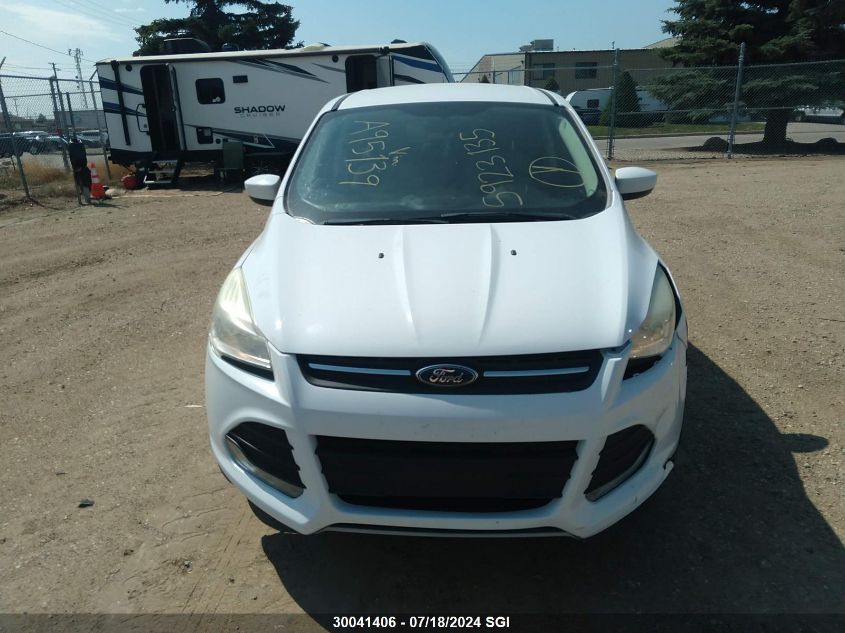 2014 Ford Escape Se VIN: 1FMCU9GX3EUA95139 Lot: 30041406