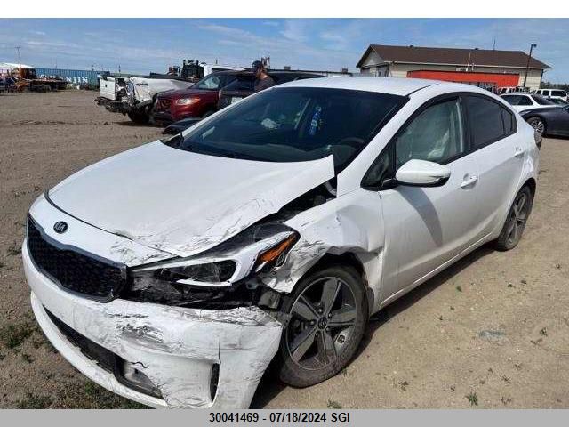 2018 Kia Forte Lx/S VIN: 3KPFL4A7XJE225393 Lot: 30041469