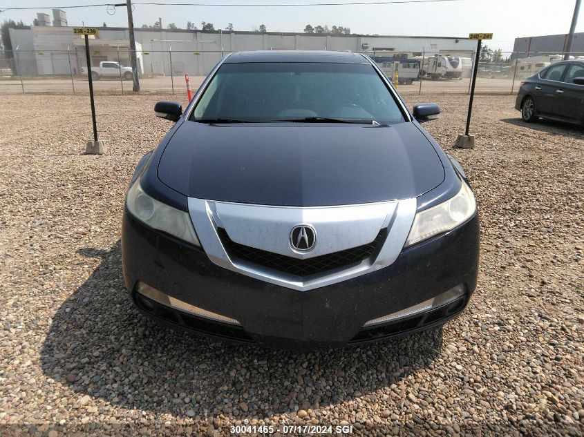 2009 Acura Tl VIN: 19UUA86529A801344 Lot: 30041465