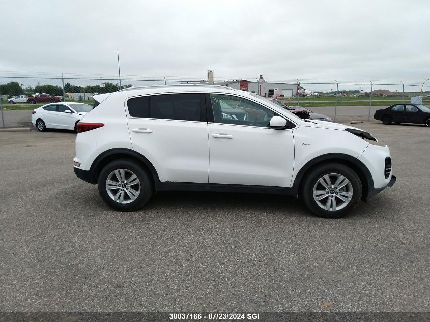 2017 Kia Sportage Lx VIN: KNDPMCAC7H7253428 Lot: 30037166