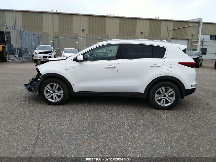 2017 Kia Sportage Lx VIN: KNDPMCAC7H7253428 Lot: 30037166