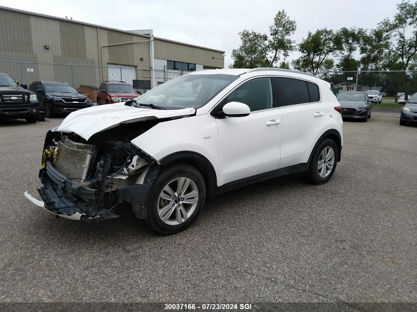 KNDPMCAC7H7253428 2017 Kia Sportage Lx