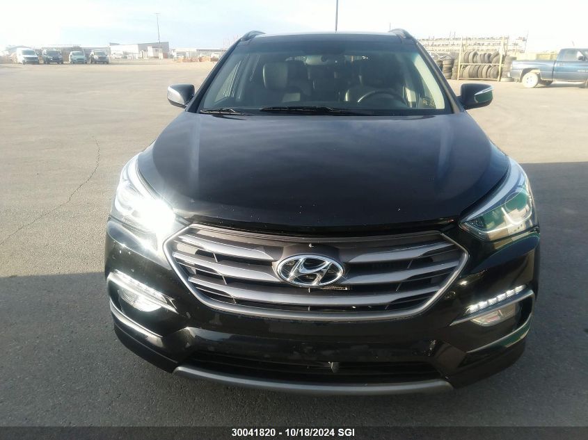 2017 Hyundai Santa Fe Sport VIN: 5XYZUDLA5HG407695 Lot: 30041820