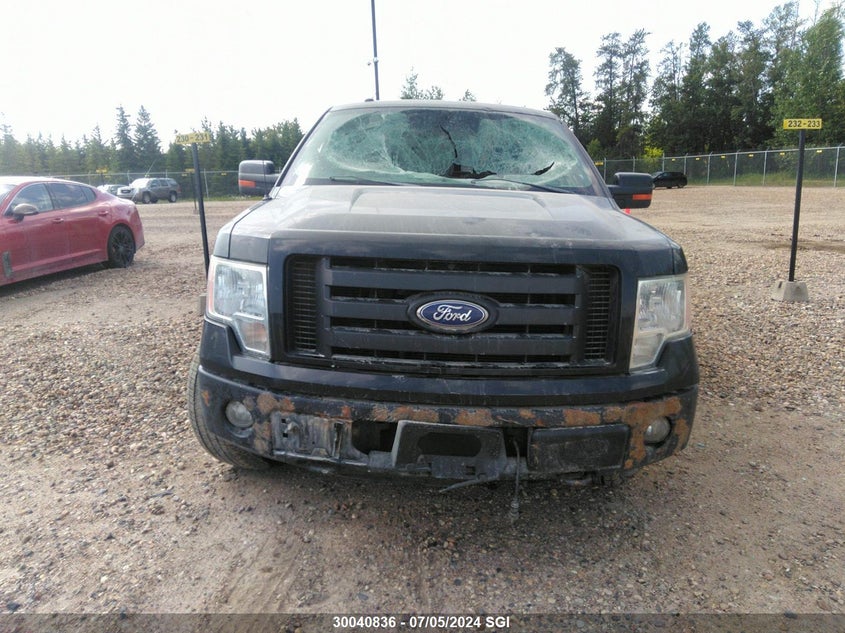 2010 Ford F150 Supercrew VIN: 1FTFW1EV4AFC40119 Lot: 30040836