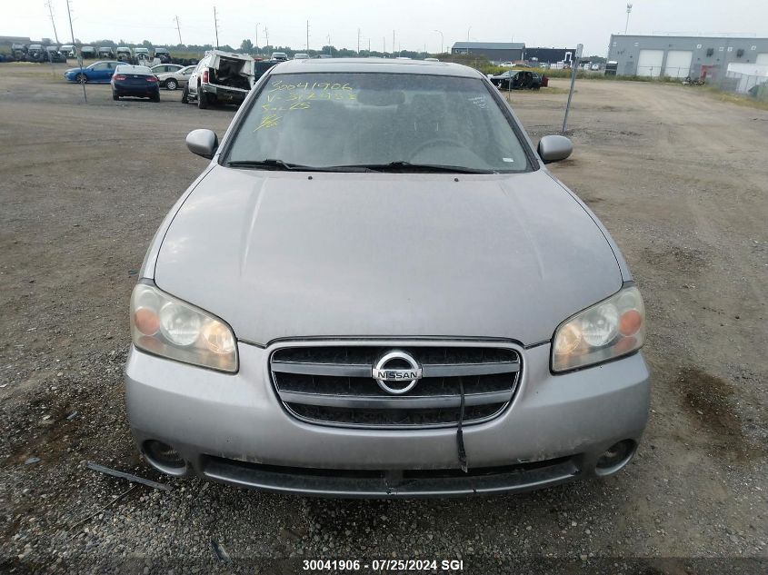 2002 Nissan Maxima Gle/Se VIN: JN1DA31A42T317453 Lot: 30041906