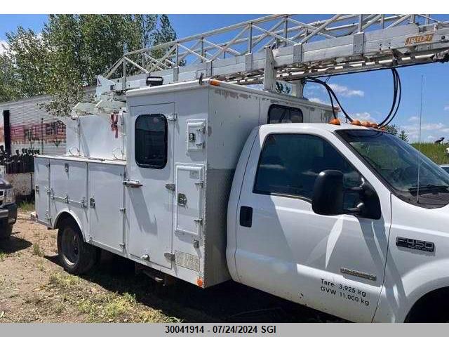 2004 Ford F450 Super Duty VIN: 1FDXF47P04EC49376 Lot: 30041914