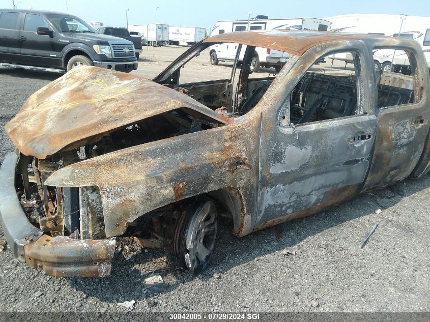 2009 Chevrolet Silverado K1500 VIN: 3GCEK13349G266271 Lot: 30042005