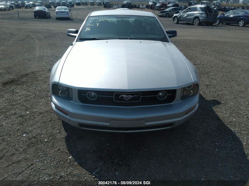2006 Ford Mustang VIN: 1ZVFT80N865209345 Lot: 30042176
