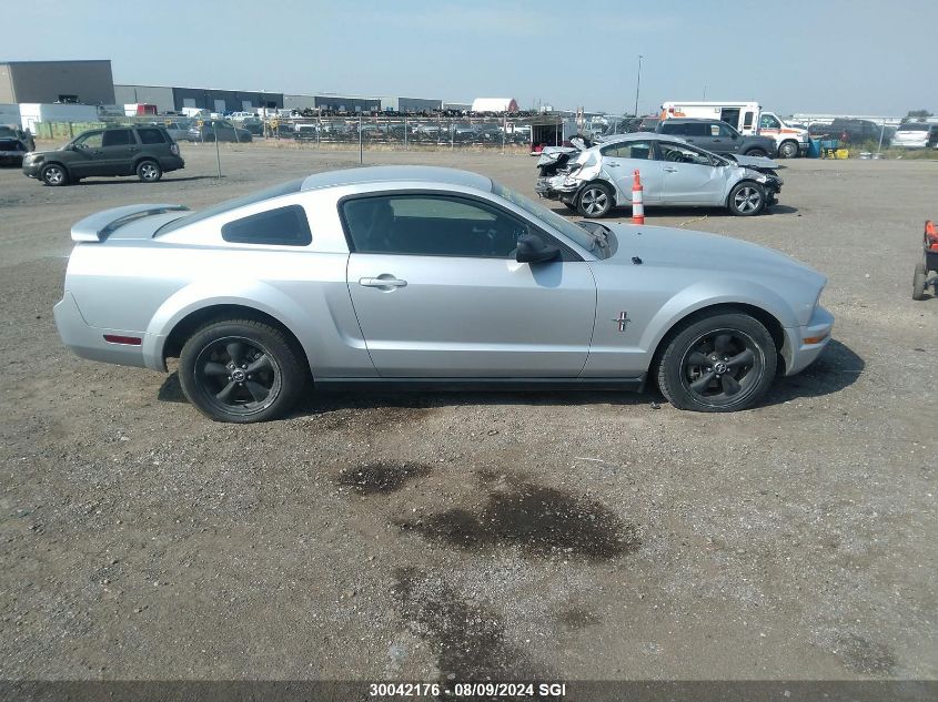 2006 Ford Mustang VIN: 1ZVFT80N865209345 Lot: 30042176