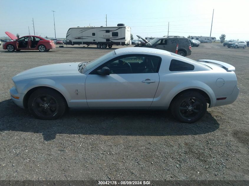 2006 Ford Mustang VIN: 1ZVFT80N865209345 Lot: 30042176