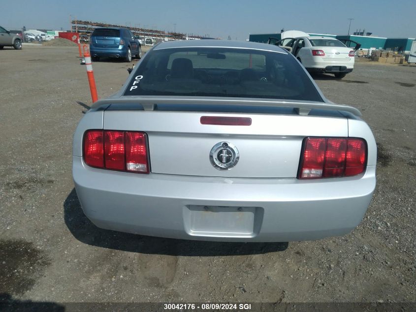 2006 Ford Mustang VIN: 1ZVFT80N865209345 Lot: 30042176