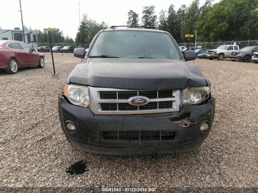 2011 Ford Escape Xlt VIN: 1FMCU0DG0BKA95025 Lot: 30041843