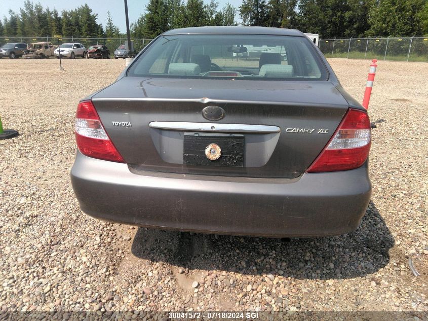 2003 Toyota Camry Le/Xle VIN: JTDBE30KX30145211 Lot: 30041572