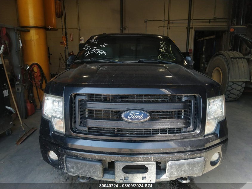 2013 Ford F150 VIN: 1FTMF1EF5DKD00775 Lot: 30040724