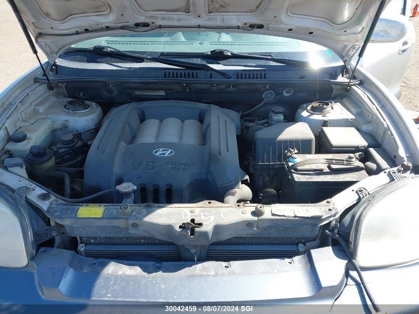 2004 Hyundai Santa Fe VIN: KM8SB73D34U693957 Lot: 30042459