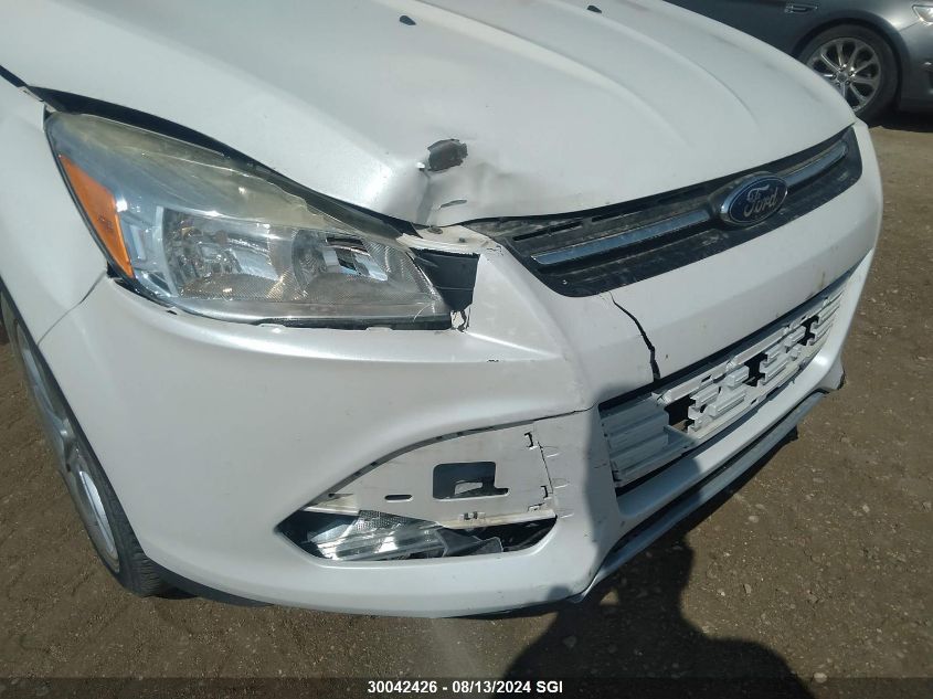 2014 Ford Escape Se VIN: 1FMCU9G95EUA16345 Lot: 30042426