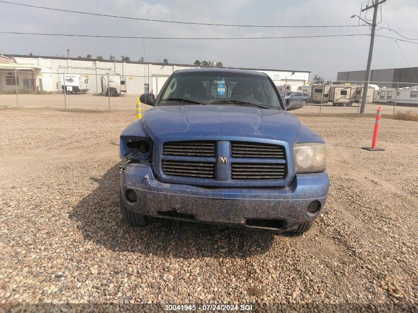 2007 Dodge Dakota Quad/St VIN: 1D7HW28K17S208699 Lot: 30041945