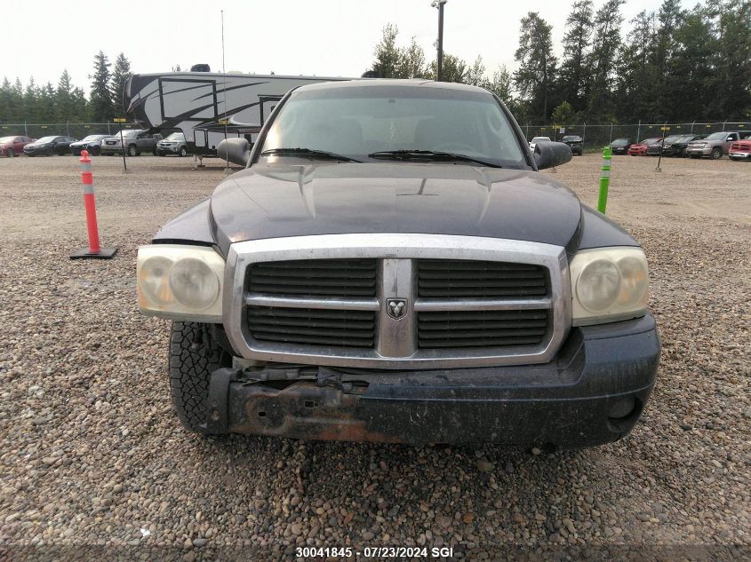 2006 Dodge Dakota Quad Slt VIN: 1D7HW48N96S606456 Lot: 30041845