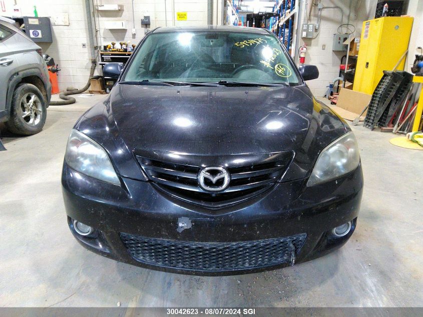 2004 Mazda 3 Hatchback VIN: JM1BK143141158280 Lot: 30042623