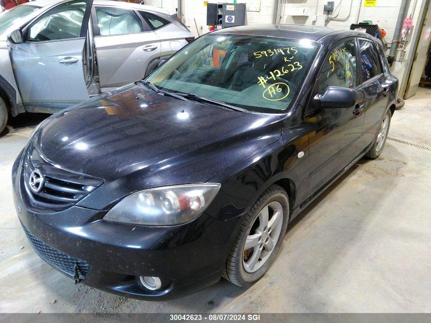 2004 Mazda 3 Hatchback VIN: JM1BK143141158280 Lot: 30042623