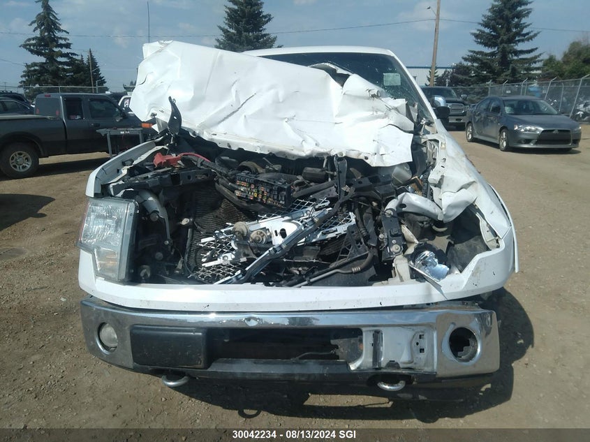 2010 Ford F150 Supercrew VIN: 1FTFW1EVXAFC26256 Lot: 30042234