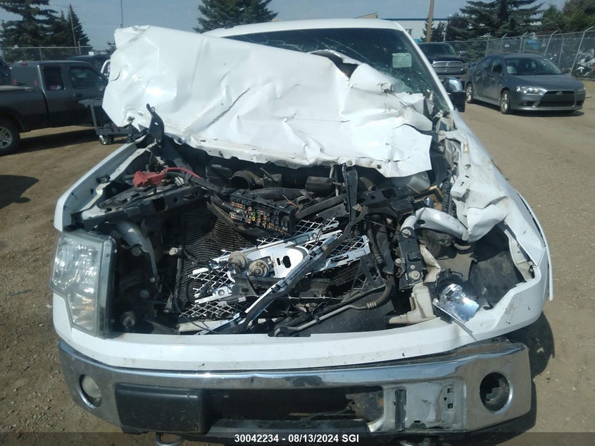 2010 Ford F150 Supercrew VIN: 1FTFW1EVXAFC26256 Lot: 30042234