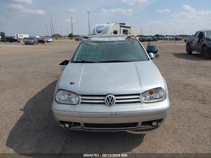 2003 Volkswagen Jetta Gls Tdi VIN: WVWSP61J43W610239 Lot: 30042763