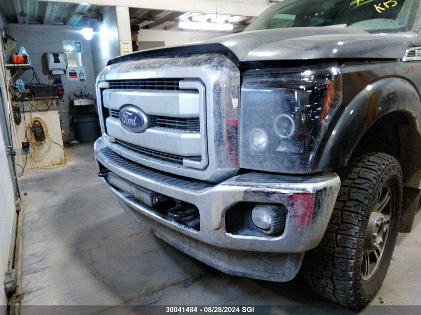 2016 Ford F350 Super Duty VIN: 1FT8W3BT3GEC65292 Lot: 30041484