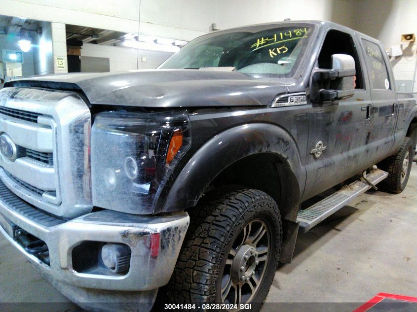 2016 Ford F350 Super Duty VIN: 1FT8W3BT3GEC65292 Lot: 30041484