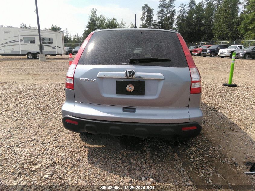 2009 Honda Cr-V VIN: 5J6RE48789L805686 Lot: 30042066