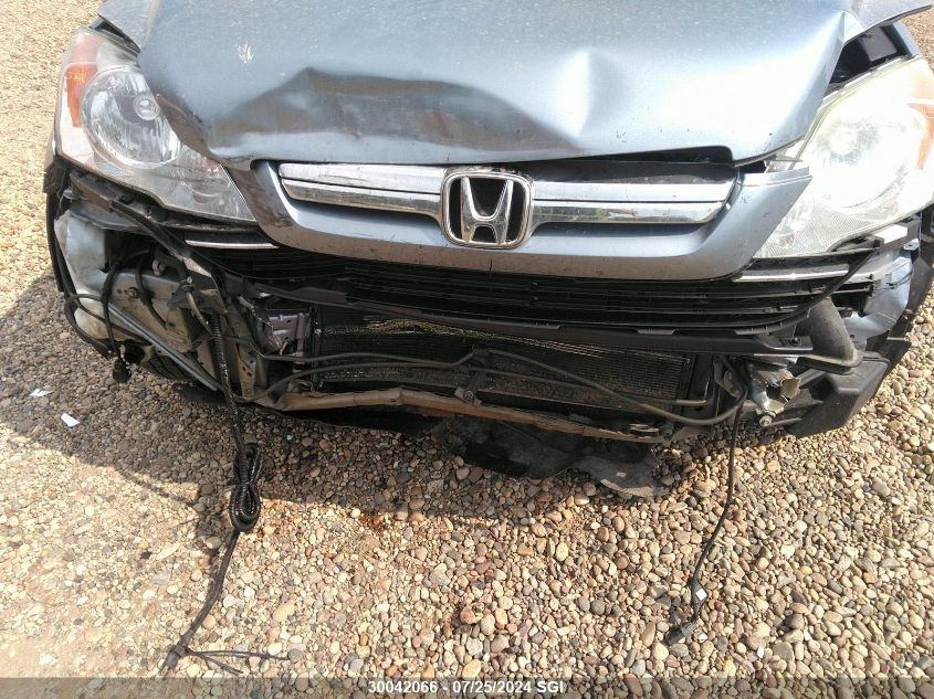 2009 Honda Cr-V VIN: 5J6RE48789L805686 Lot: 30042066