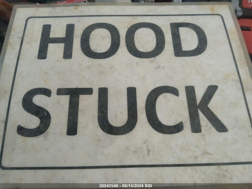 2005 Honda Odyssey Ex VIN: 5FNRL38455B510098 Lot: 30042540