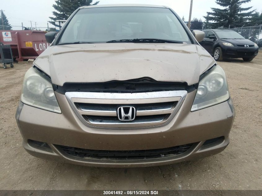 2005 Honda Odyssey Exl VIN: 5FNRL38635B505175 Lot: 30041492