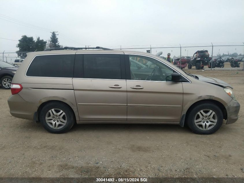 2005 Honda Odyssey Exl VIN: 5FNRL38635B505175 Lot: 30041492