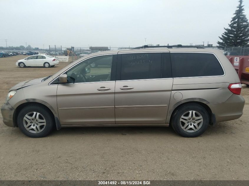 2005 Honda Odyssey Exl VIN: 5FNRL38635B505175 Lot: 30041492