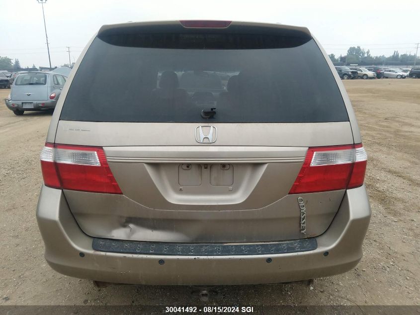 2005 Honda Odyssey Exl VIN: 5FNRL38635B505175 Lot: 30041492