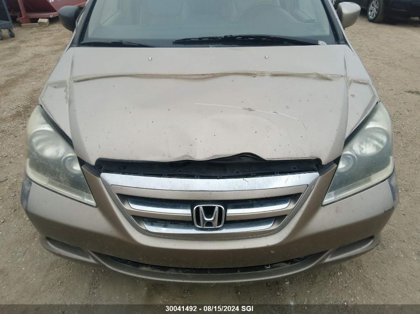 2005 Honda Odyssey Exl VIN: 5FNRL38635B505175 Lot: 30041492