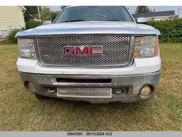 2009 GMC Sierra K1500 VIN: 1GTEK14039Z183497 Lot: 30043081