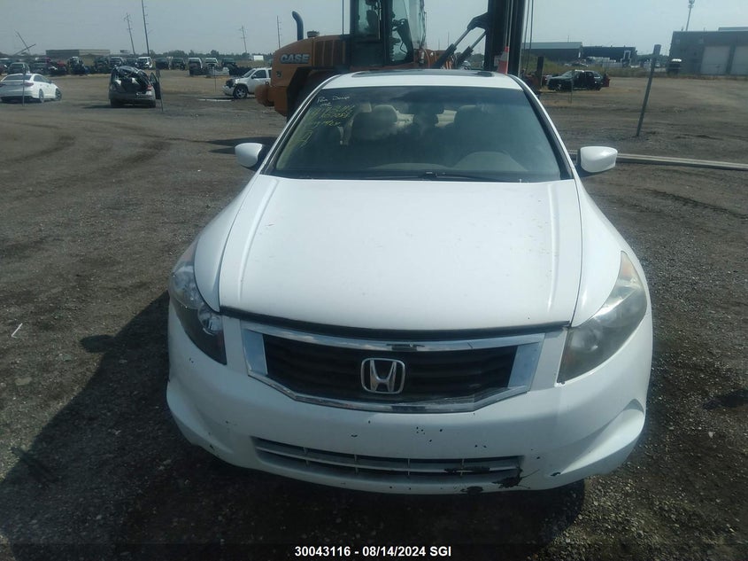 2009 Honda Accord Exl VIN: 1HGCP268X9A802288 Lot: 30043116