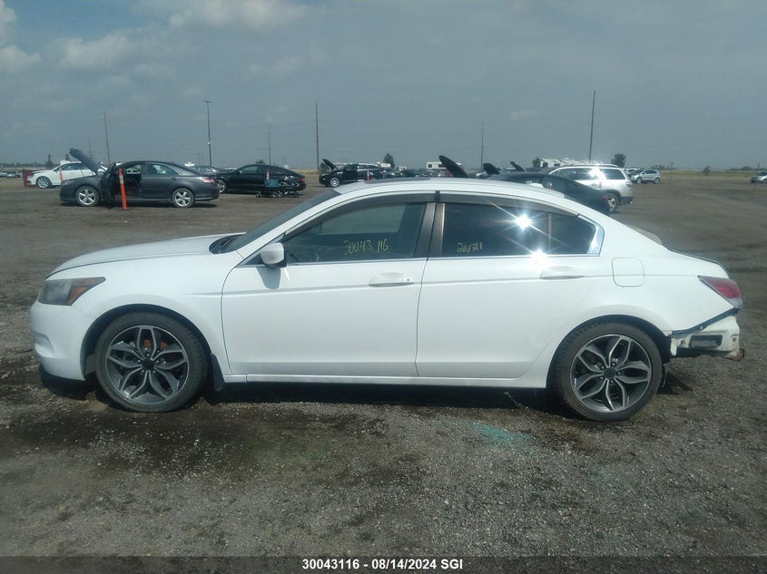 2009 Honda Accord Exl VIN: 1HGCP268X9A802288 Lot: 30043116