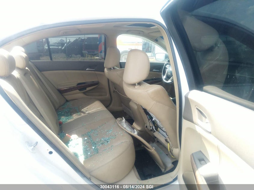 2009 Honda Accord Exl VIN: 1HGCP268X9A802288 Lot: 30043116