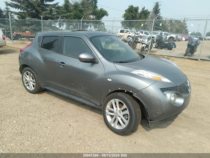 2013 Nissan Juke S/Sv/Sl VIN: JN8AF5MV7DT206415 Lot: 30041599