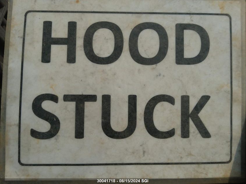 2009 Toyota Rav4 Limited V6 VIN: 2T3BK31V99W002174 Lot: 30041718